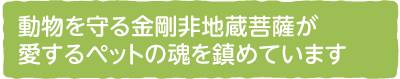 動物を守る金剛非地蔵菩薩が愛するペットの魂を鎮めています